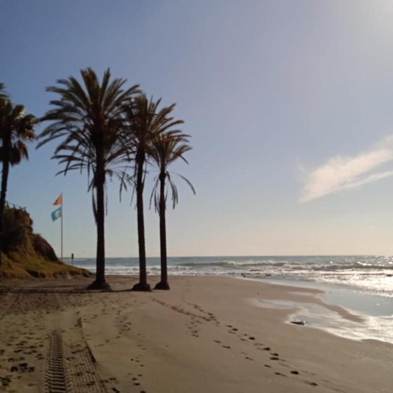 Studio in Costa del Sol - Estudio - 29