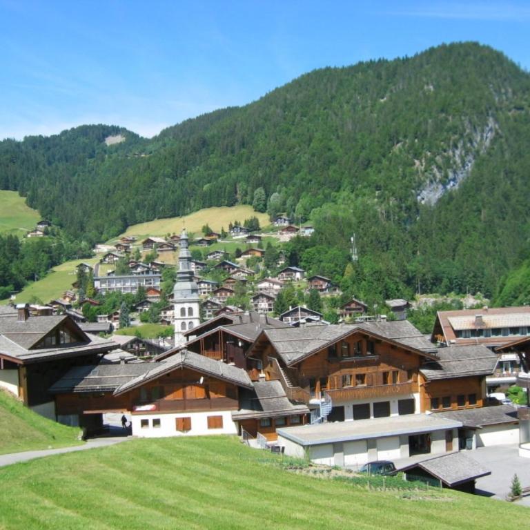 Parnasse 2-203 - Bel appartement sur les pistes de ski et dans le village, au calme - Estudio con balcón - 12