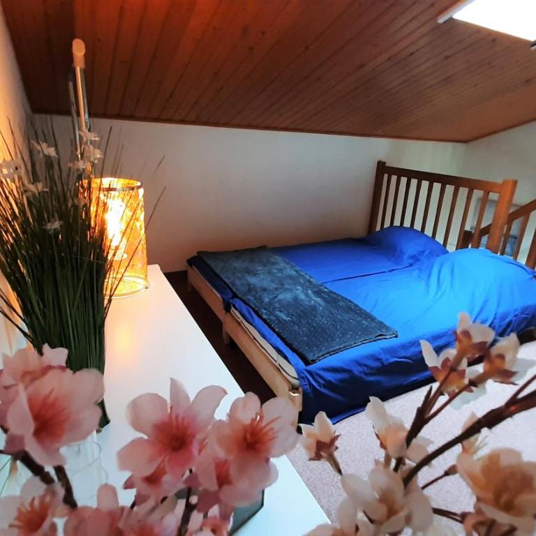 L'ESCAPADE maison 3 chambres plus mezzanine 8 à 10 personnes - Maison 4 Chambres - 23