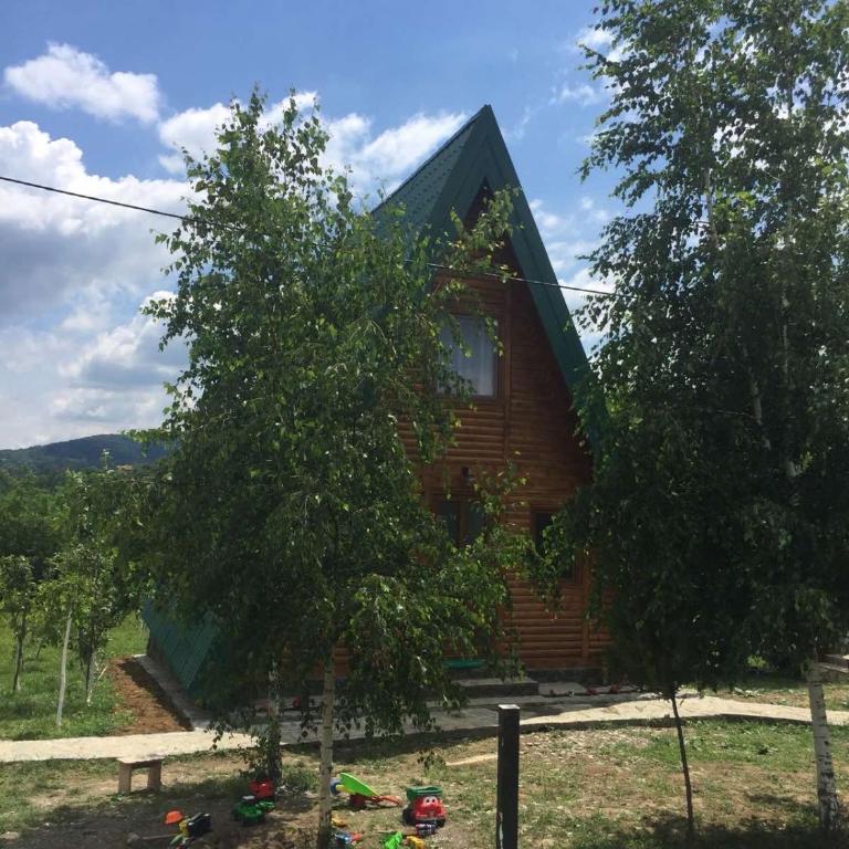 Banjska brvnara - Kuća sa 2 Spavaće Sobe - 8