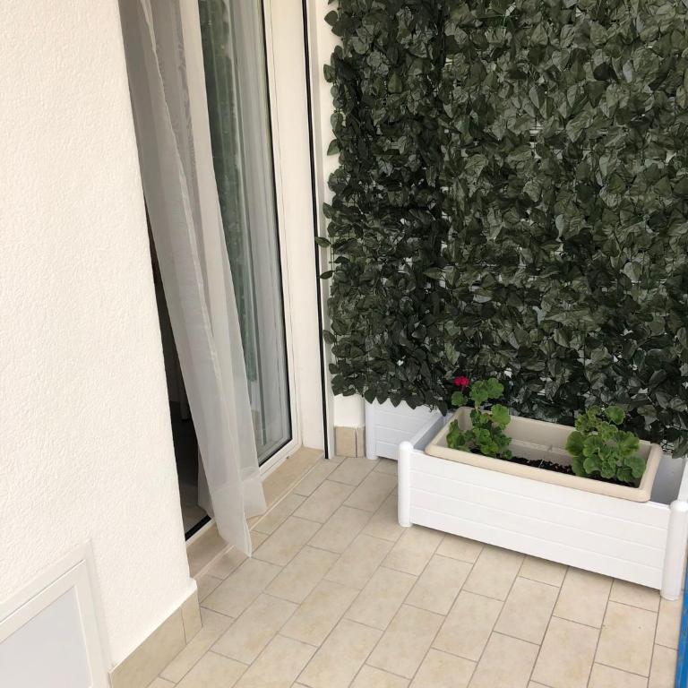 B&B Bellavista - Double or Twin Room with Balcony - 6
