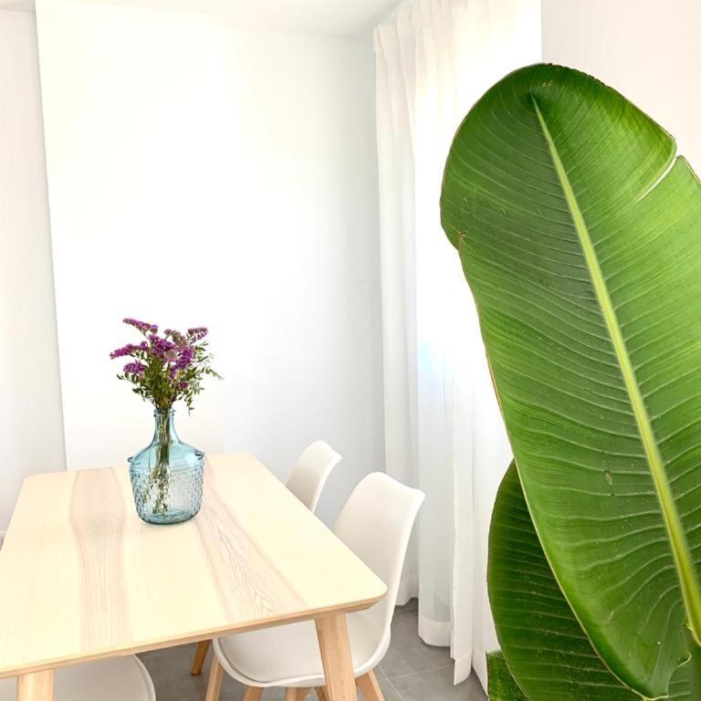 Apartamento Alegna Sunset - Apartamento de 1 dormitorio - 12