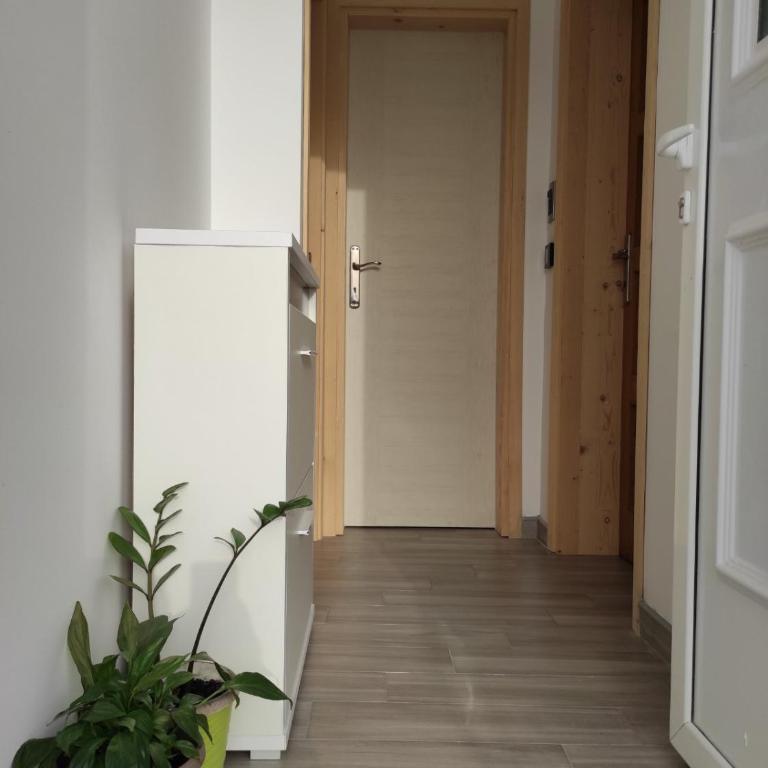 Boka Grey Apartment - Apartman sa 1 Spavaćom Sobom - 12