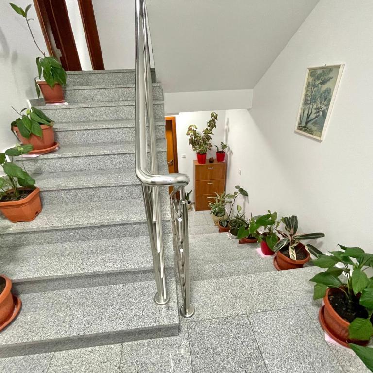 Apartments Boreta Becici - Dvokrevetna Soba sa Bračnim Krevetom (Queen-size) i Balkonom - 28