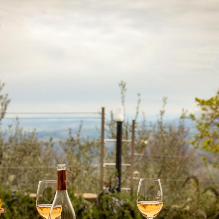 Podere Belsogno - Appartamento Deluxe - 21