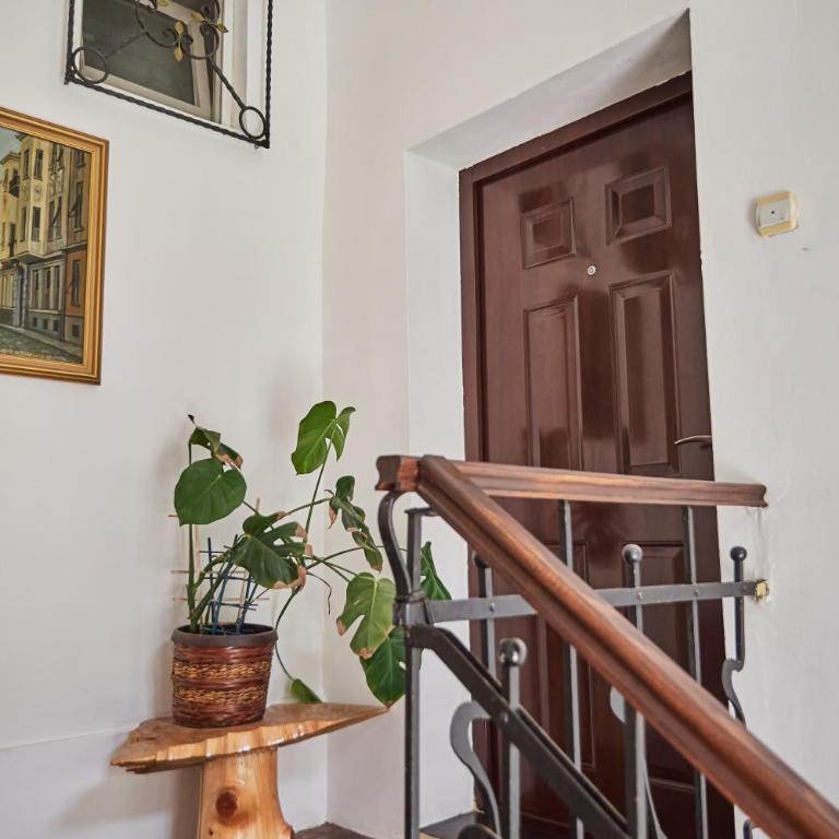 BOTANIK - Apartman sa 2 Spavaće Sobe - 2
