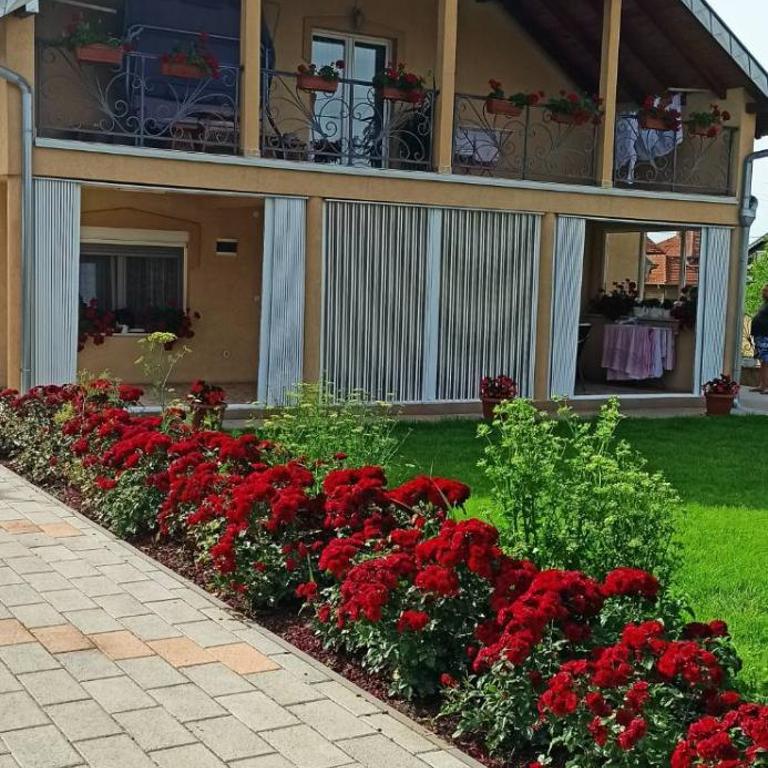 Vila Nikola & Aleksa - Two-Bedroom House - 10