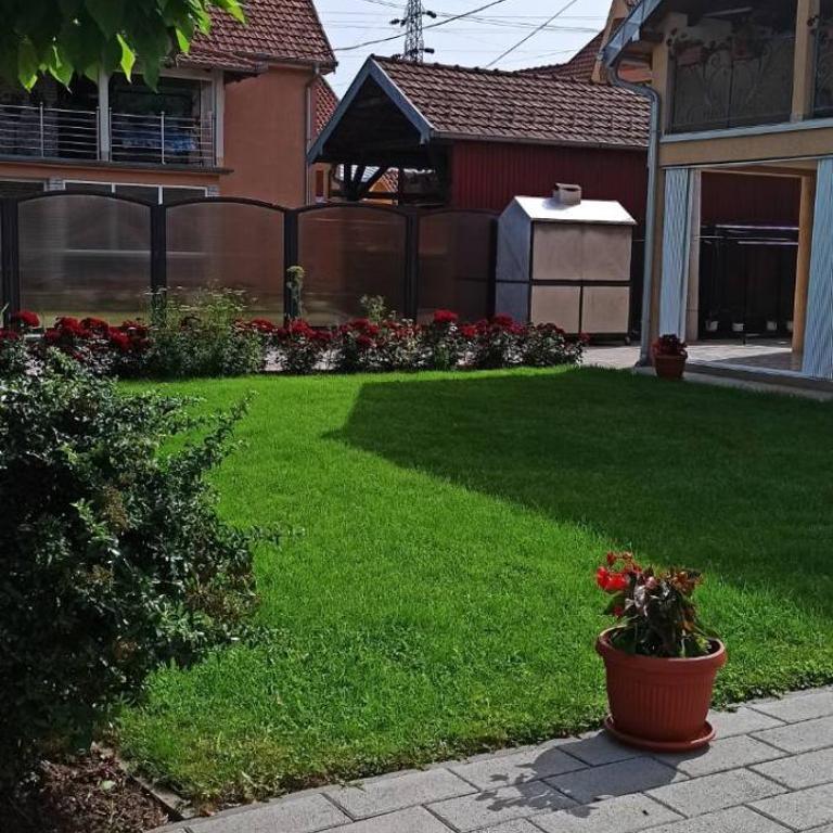 Vila Nikola & Aleksa - Two-Bedroom House - 12
