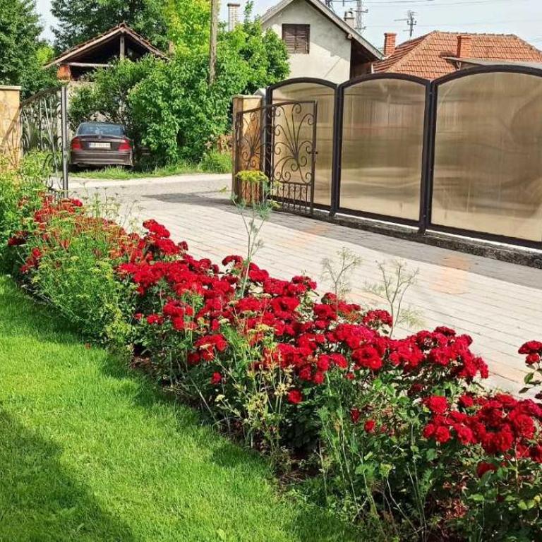 Vila Nikola & Aleksa - Two-Bedroom House - 39