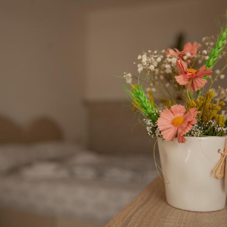 Apartmani Mimax - Apartman sa 1 Spavaćom Sobom - 16