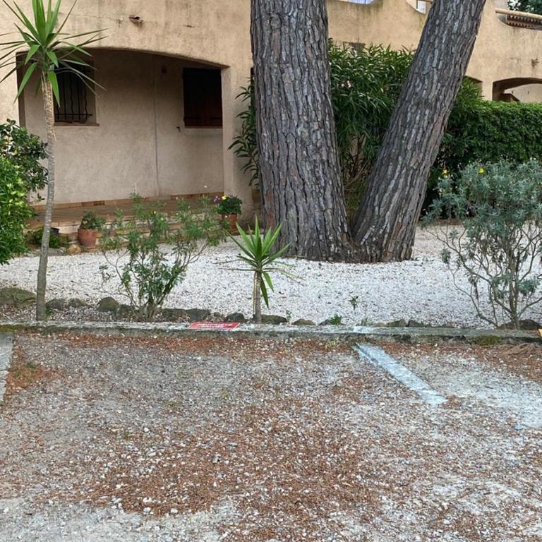 Appartement Les grands pins - Appartement 1 Chambre - 15