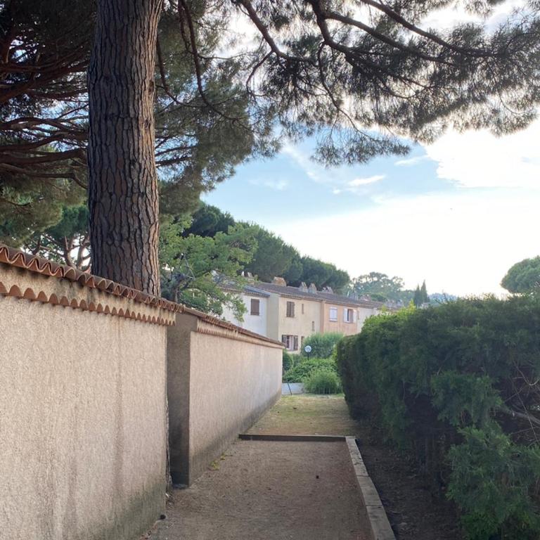Appartement Les grands pins - Appartement 1 Chambre - 18
