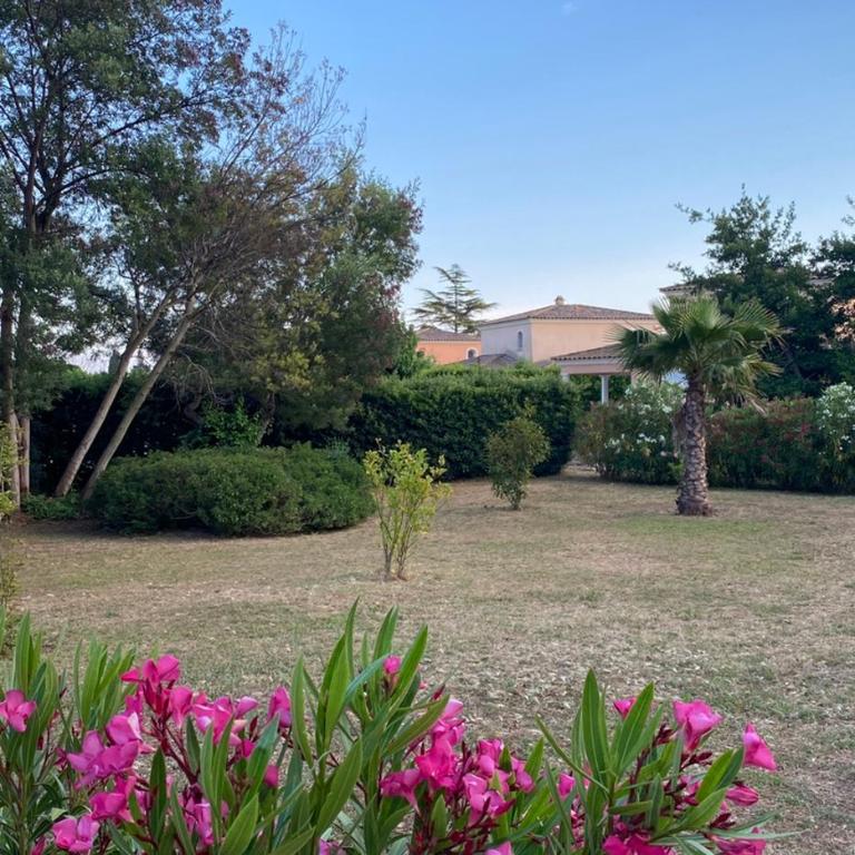 Appartement Les grands pins - Appartement 1 Chambre - 16