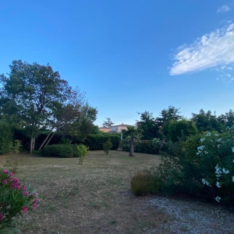 Appartement Les grands pins - Appartement 1 Chambre - 17
