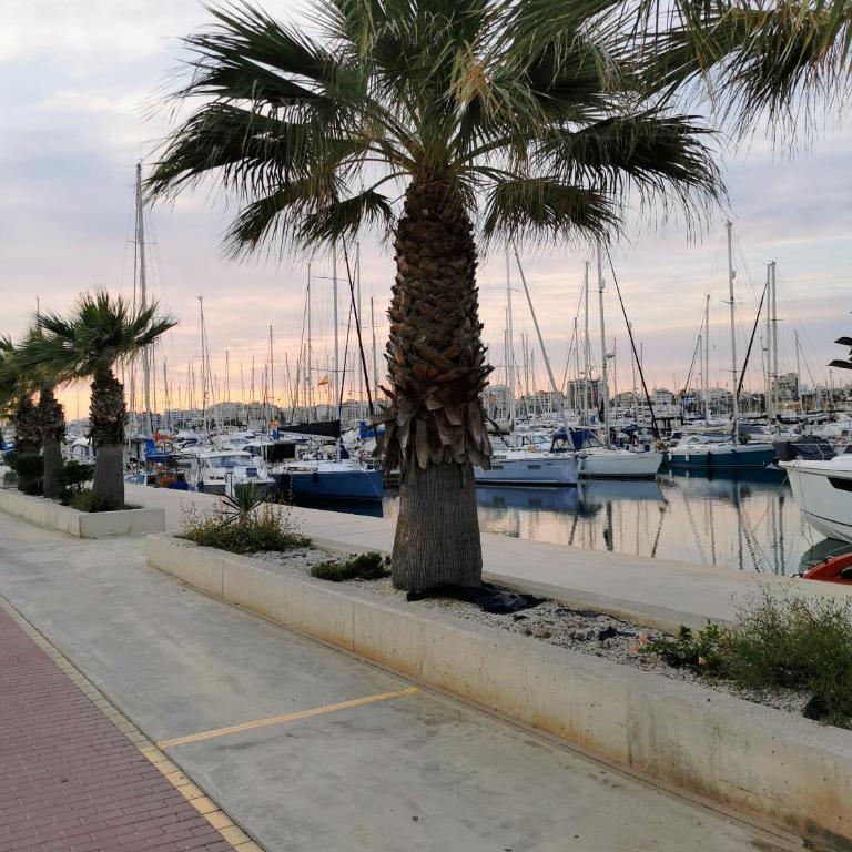 Veluto Cosy Apartment in Torrevieja - Two-Bedroom Apartment - 27