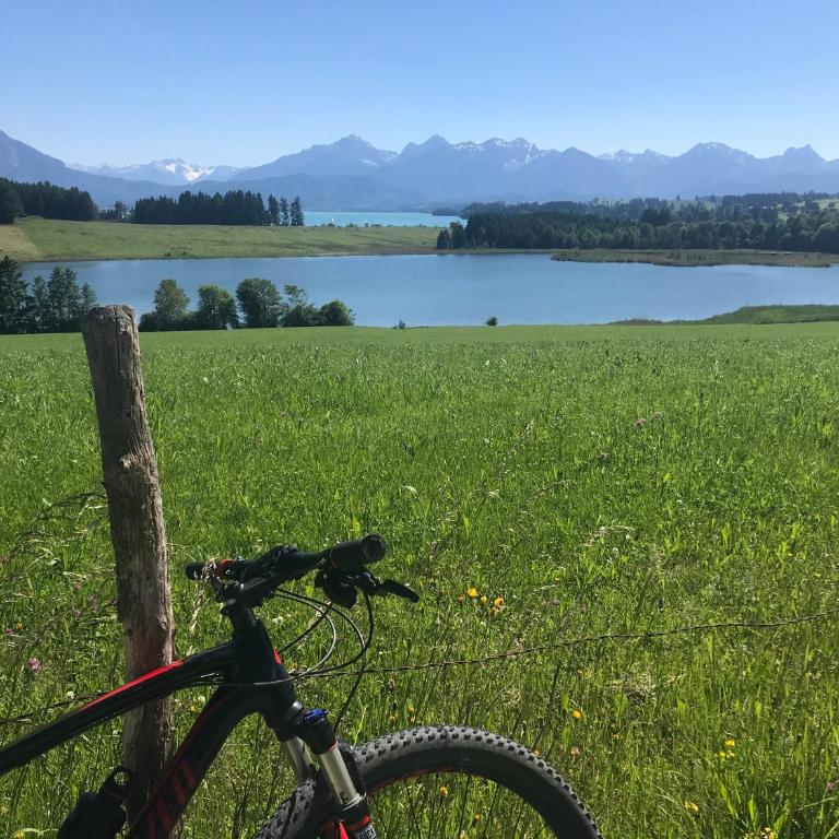 Ferienhaus Lieblingsplatz-Füssen - stilvoll urlauben & wohnen - Villa - 46