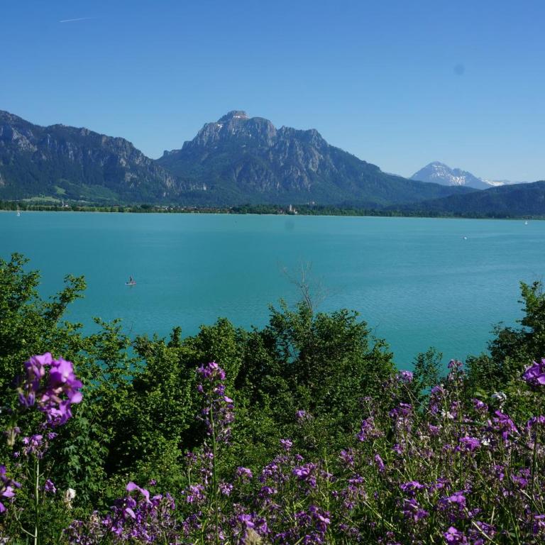Ferienhaus Lieblingsplatz-Füssen - stilvoll urlauben & wohnen - Villa - 41