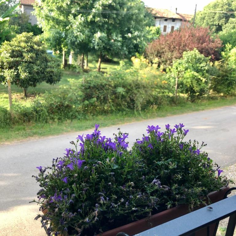 Casa Giulia - Valeggio sul Mincio - Appartamento - 5