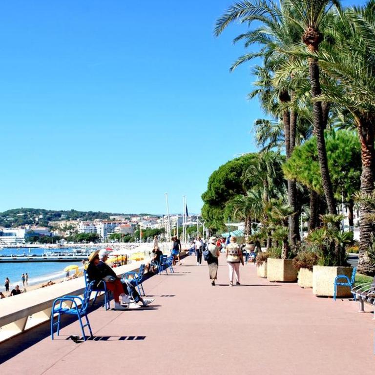 NICE FLAT WITH GARDENS Limites cannes juste 10 MNS CROISETT - Appartement 1 Chambre - 20