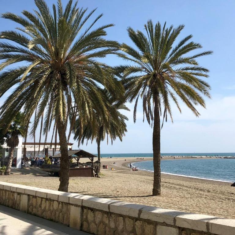 Telma-Playa Gran terraza by AlohaMalaga - Apartamento de 3 dormitorios - 41