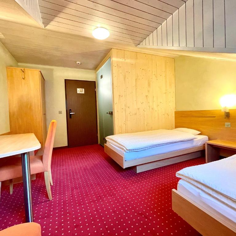 Bier & Erlebnis Hotel des alpes - Standard Twin Room - 2