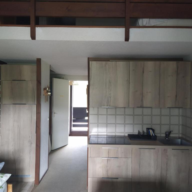 Duplex 3 pièces. Pieds des pistes et balcon! - Apartment mit 3 Schlafzimmern - 7