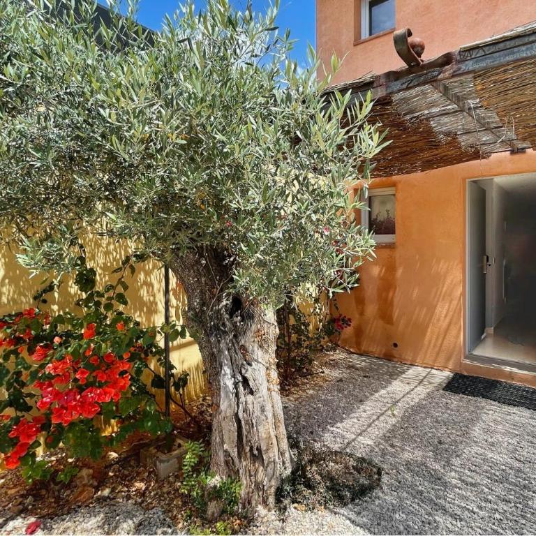Bastide de l'Olivaie - Maisonette-Apartment - 14