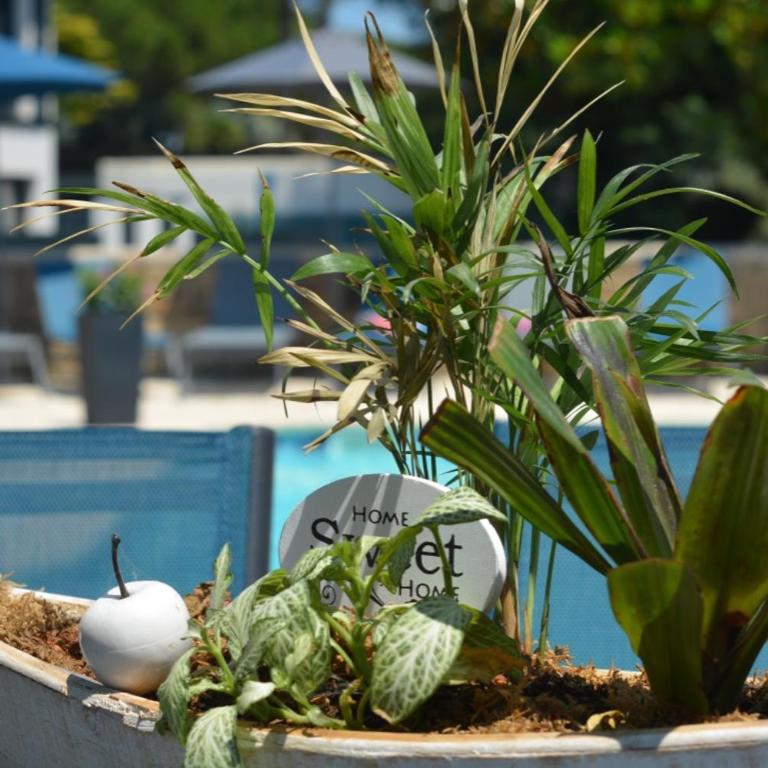 Les villas du Golf Mougins - Villa 3 Chambres - 15
