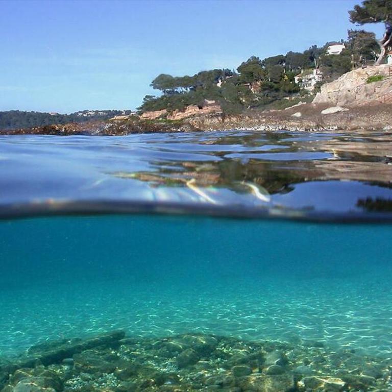 Les Pieds dans l'Eau - Chambre Double - 10