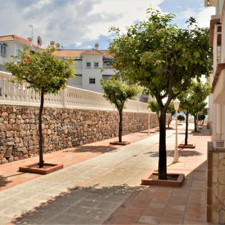 Edf. Fuentes A 2ºB - Apartamento de 2 dormitorios - 15