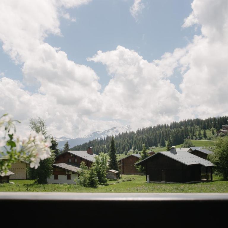 Les Alpages 73 - Les Saisies - Apartment mit Blick auf die Berge - 11