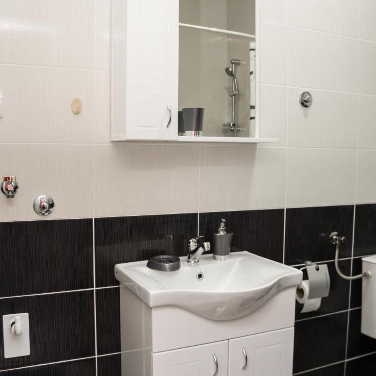 CITY APARTMENT BB - Apartman sa 1 Spavaćom Sobom - 10