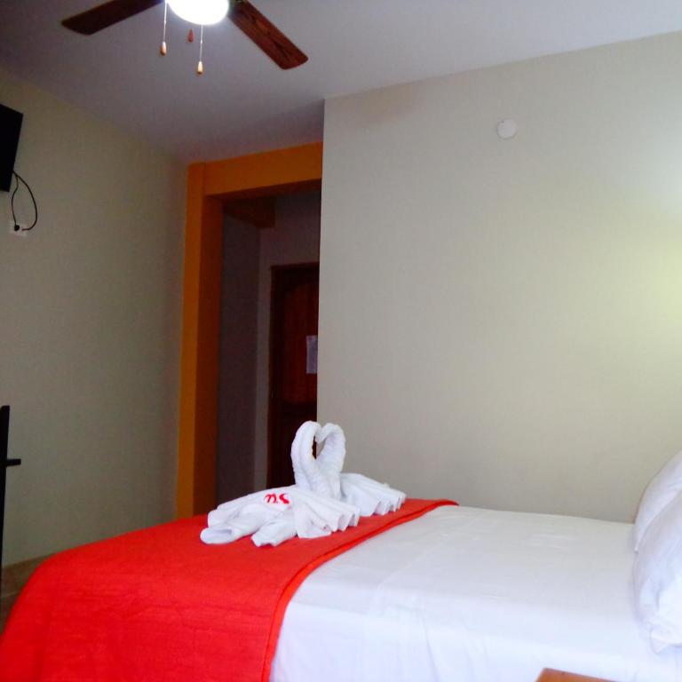 Hotel Pampa & Selva - Habitación Doble con baño privado y aire acondicionado - 11