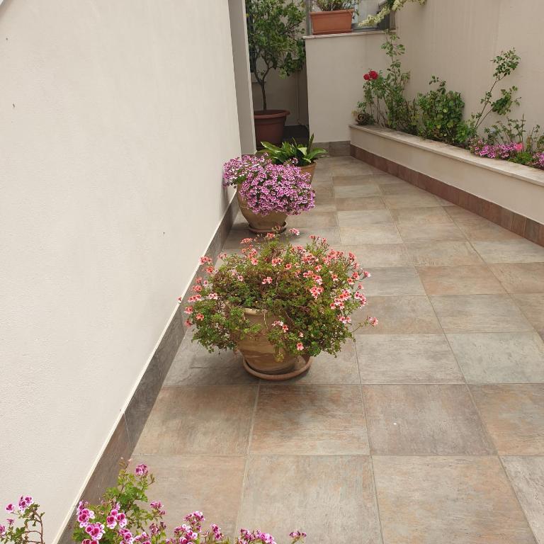 Il geco allegro - Appartamento con Vista Giardino - 7