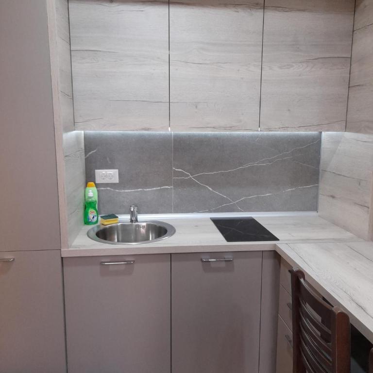 Apartmani President Kop - Apartman sa Pogledom na Planinu - 6