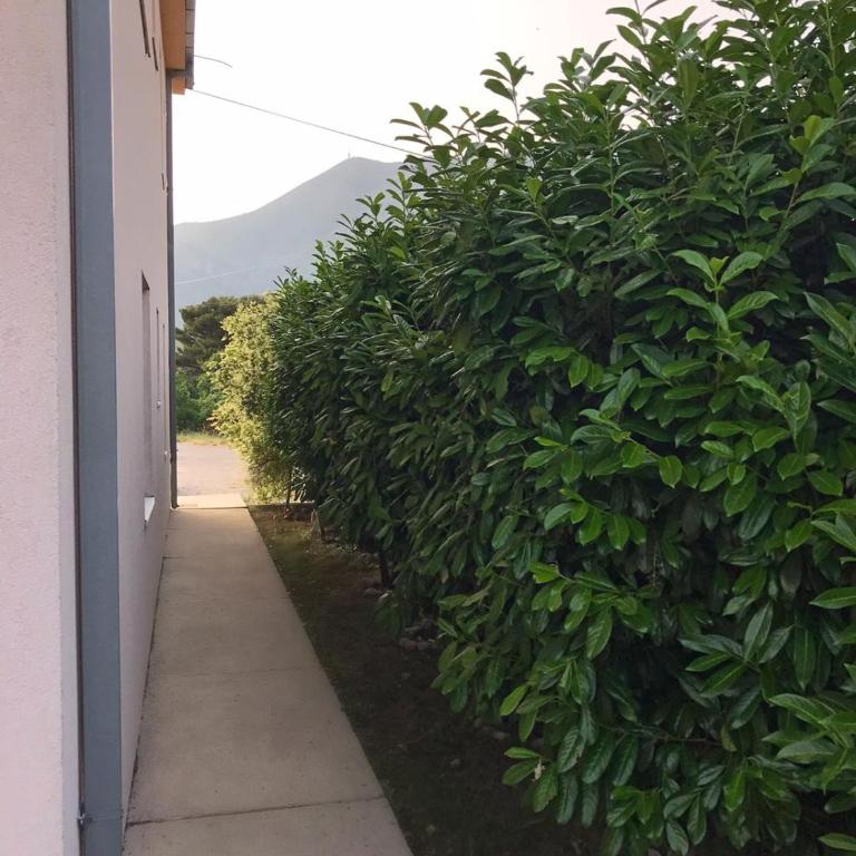 Anika - Three-Bedroom Apartment - 31