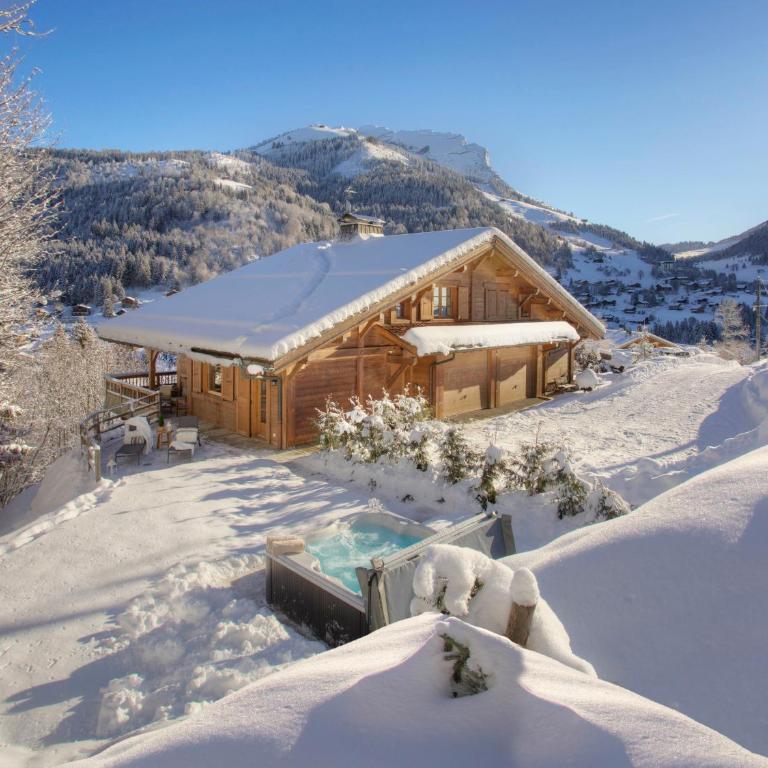 Chalet Cosyneige - OVO Network - Chalet - 3