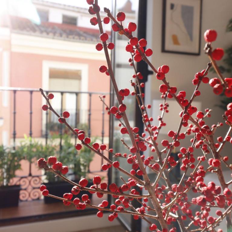 Reina Sofia Boutique II - Two-Bedroom Apartment - 3