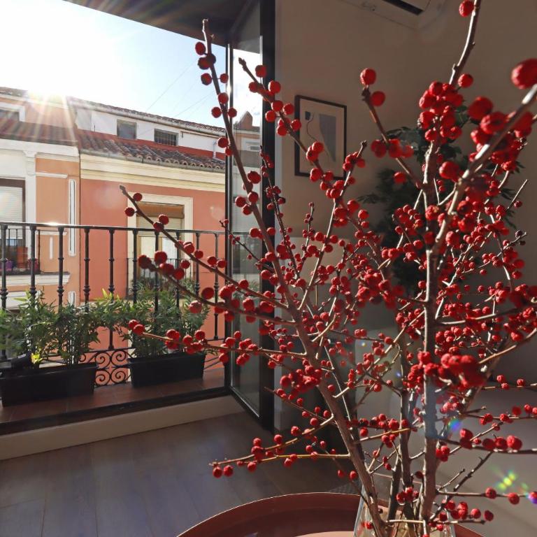 Reina Sofia Boutique II - Two-Bedroom Apartment - 9