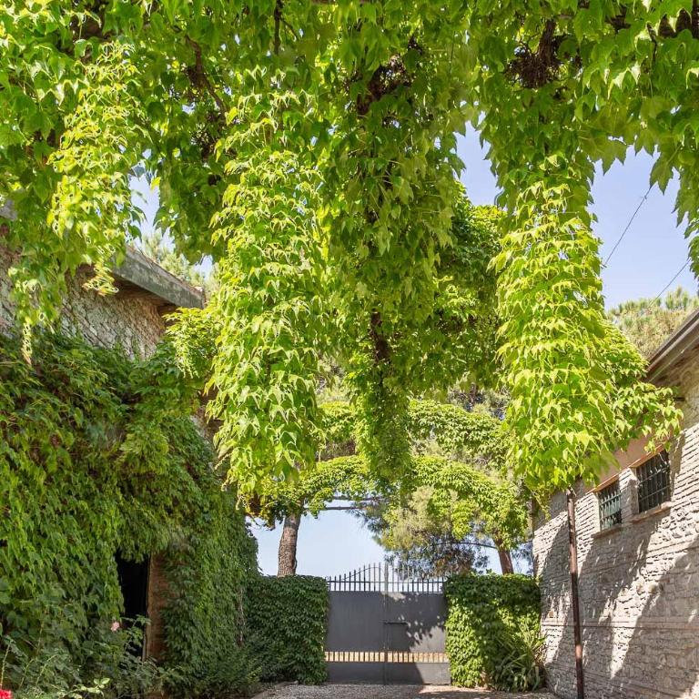 Podere Terrerosse con piscina nell'entroterra di Rimini - Villa Deluxe - 38