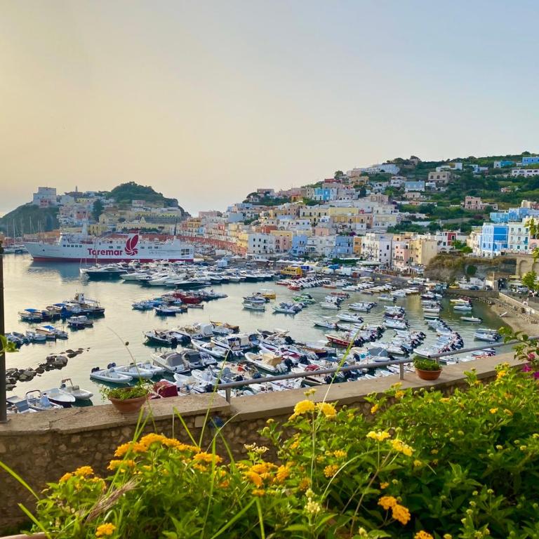 Domus Ɫ Ponza SeaView - Casa con 1 Camera da Letto - 7