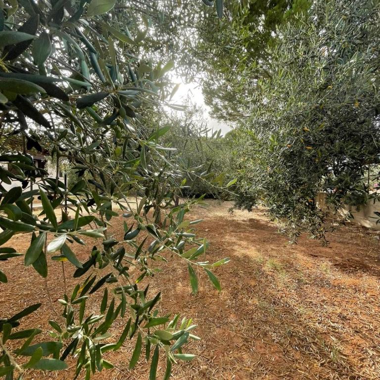 Il moro - Casa Vacanze - Two-Bedroom House - 15