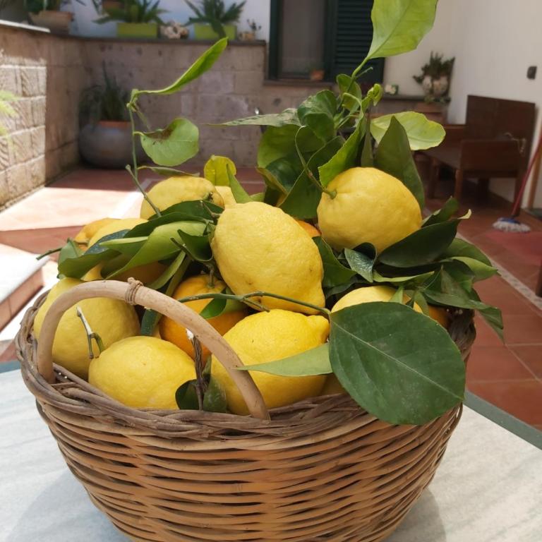 Sosò - Camera Deluxe Matrimoniale/Doppia con Letti Singoli con Vista Giardino - 17