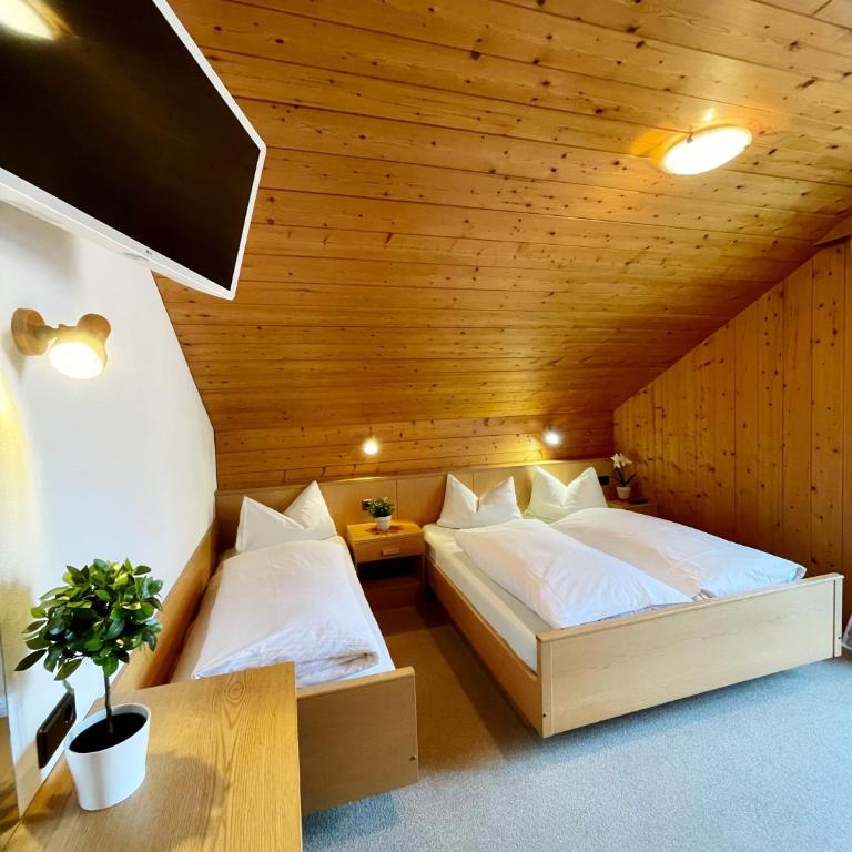Apartments Spirit of Mountains - Appartamento con Vista Montagna - 1