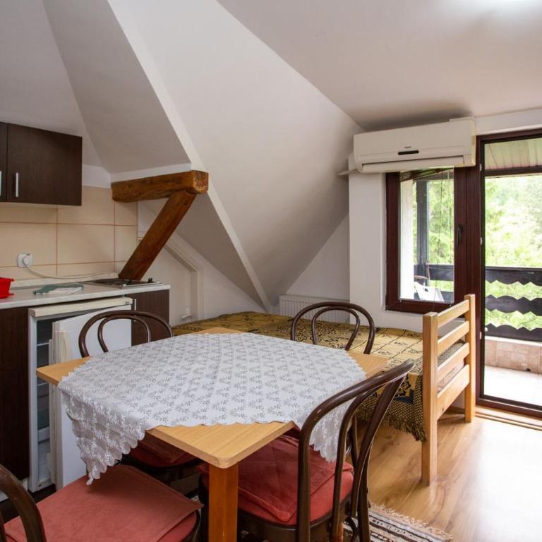 Apartmani Stanojevic Sokobanja - Apartman - 4
