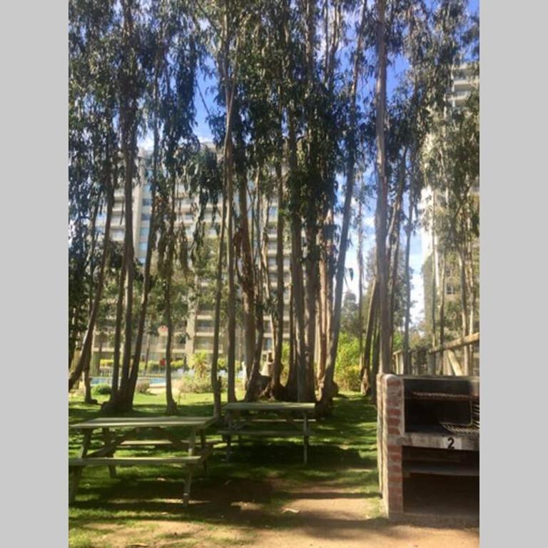 HERMOSO DEPARTAMENTO ALGARROBO NORTE - Two-Bedroom Apartment - 15