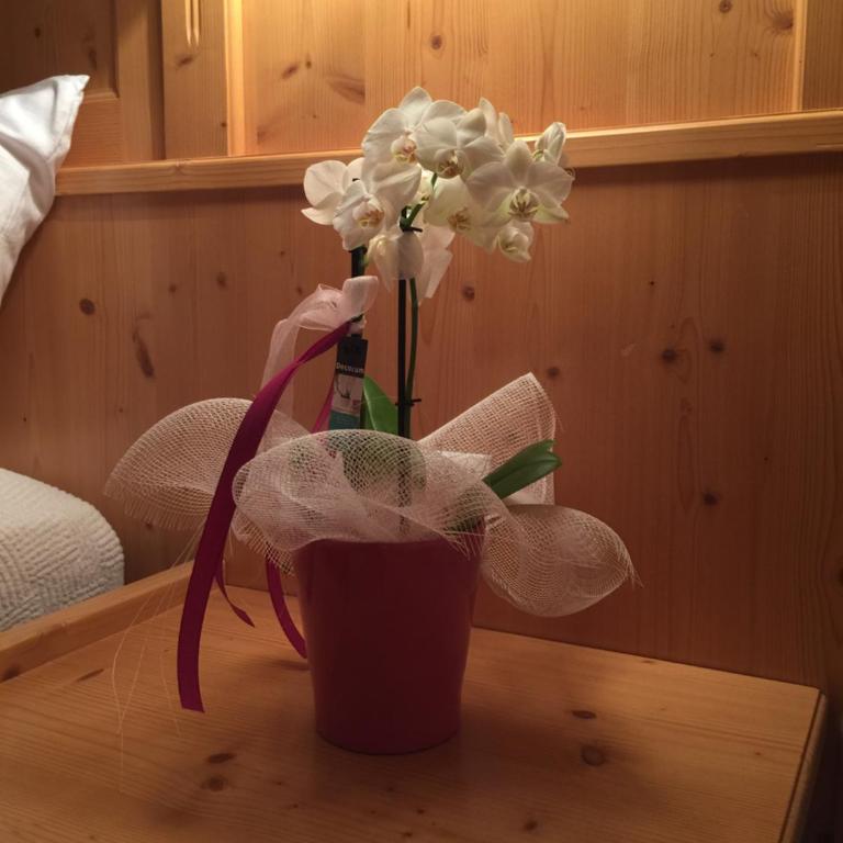 Villa Verde B&B - Suite Familiare - 10