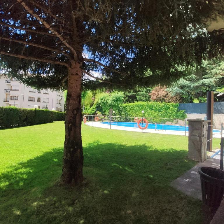 Apartamento Alba - Appartement 2 Chambres - 19
