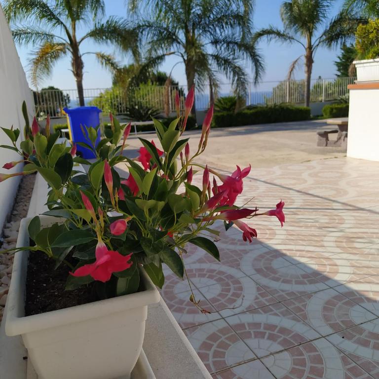 Case Cottone - Casa Vacanze - 12