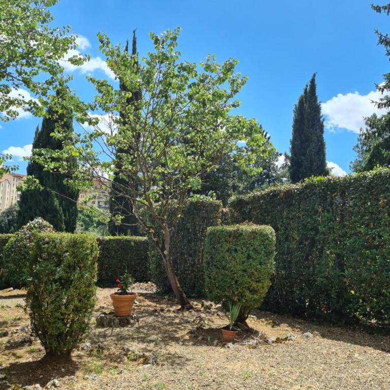 Villa Zara - Double Room with Private Bathroom - 7